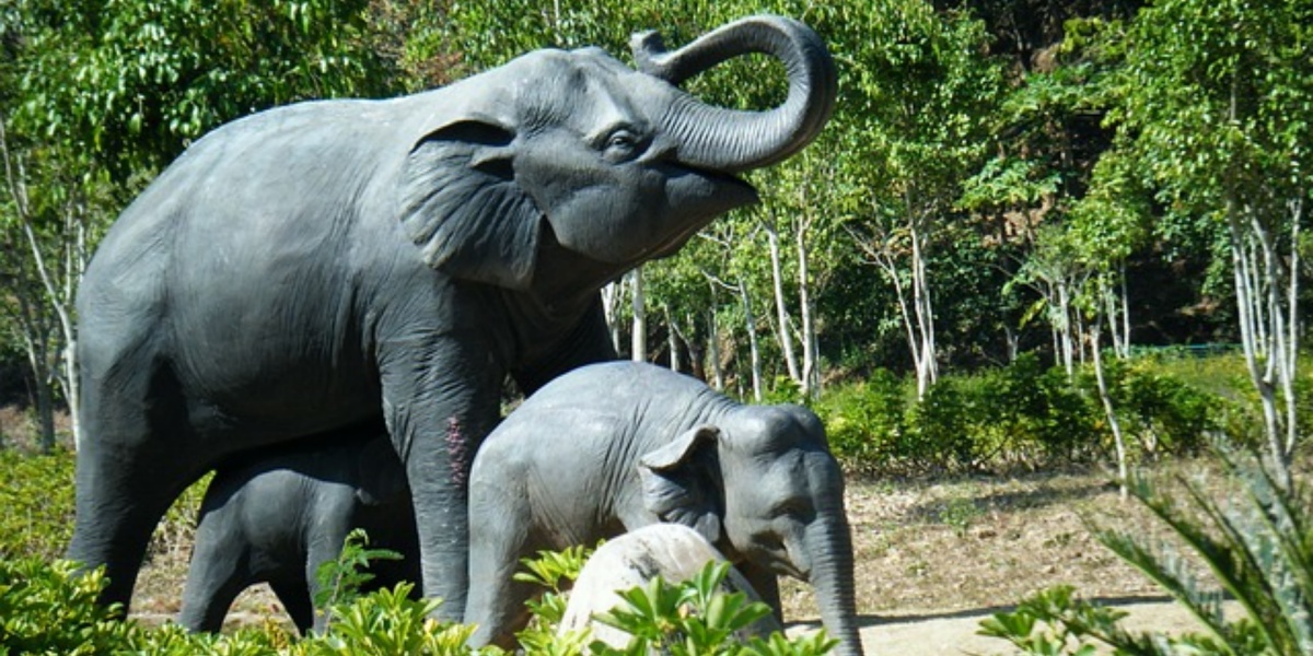 4-Day Xishuangbanna Trip