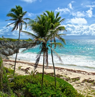 Sanya