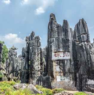 Stone Forest