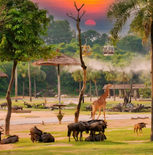  Chimelong Tourist Resort