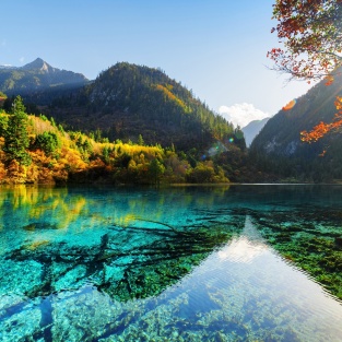 Chengdu's Climate: A Seasonal Guide for Travelers