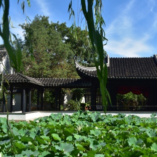 Jiangsu Climate Guide: What to Expect Throughout the Year