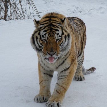 Harbin’s Ultimate Travel Highlights