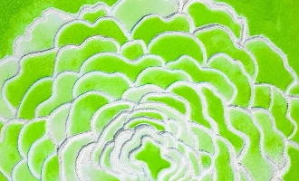 Qinghai_3