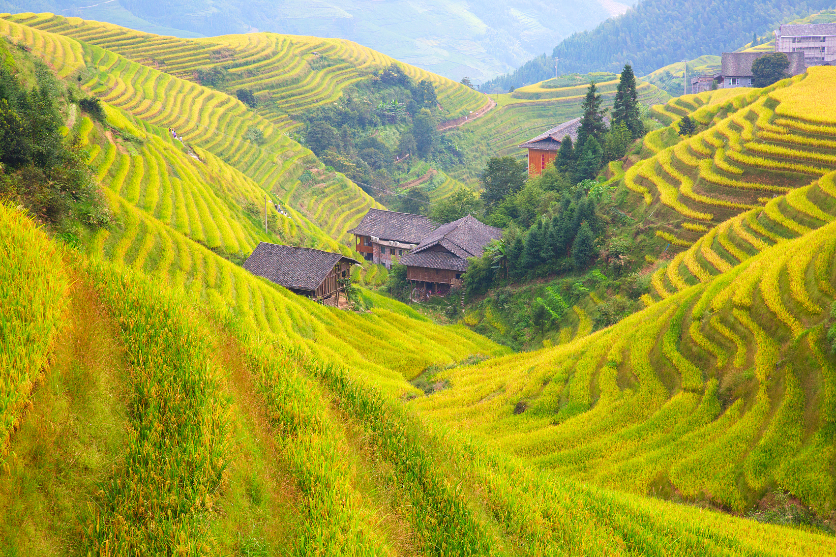 Guilin Ethnic and Folk Customs Tours