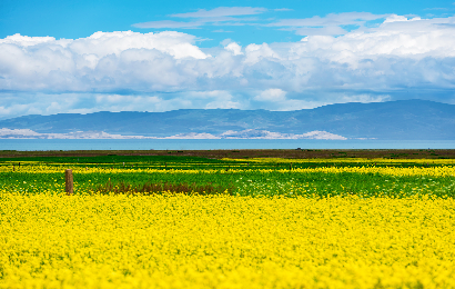3-Day Qinghai Trip