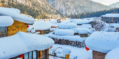   Day 7: Snow Town