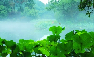 Giorno 1: Hangzhou