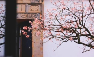 Day 3: Suzhou