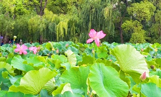 Tag 15: Kunming Abreise