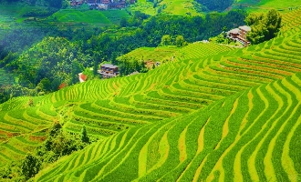 Giorno 2: Guilin