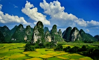 Day 5: Xingyi
