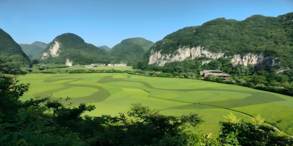 Day 3：Guizhou