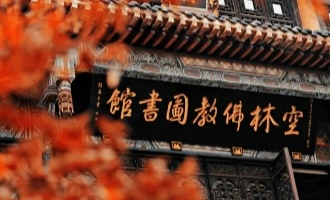 Day 7: Chengdu