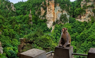 Day 7: Zhangjiajie