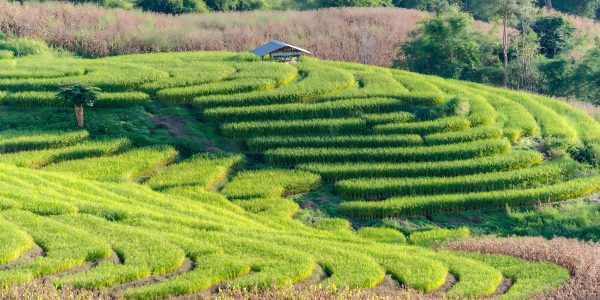 Day 3：Guilin