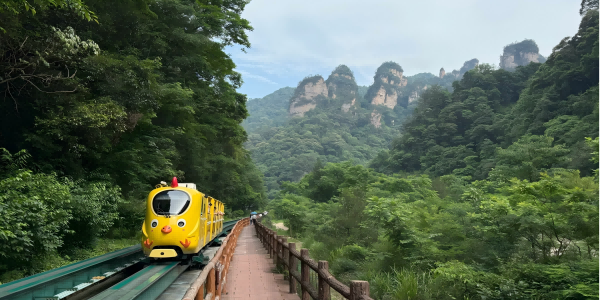 Day 5：Zhangjiajie