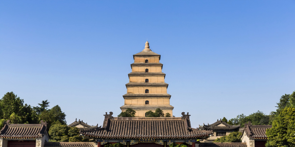Day 7：Xi'an