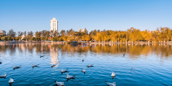 Day 2：Kunming