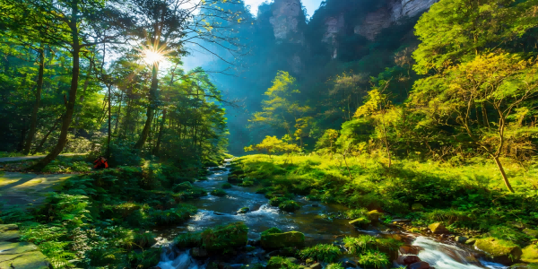 Day 6：Zhangjiajie