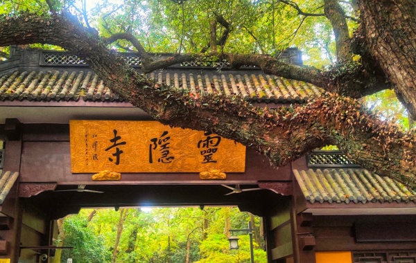 Day 1 : 항주 도착