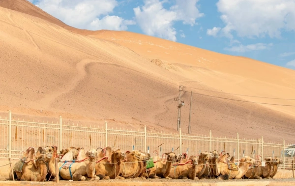Giorno 3: Turpan