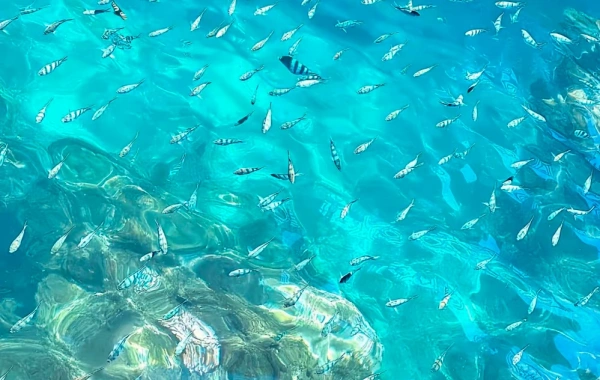 Day 1: Sanya