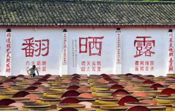 Day 1: Chengdu