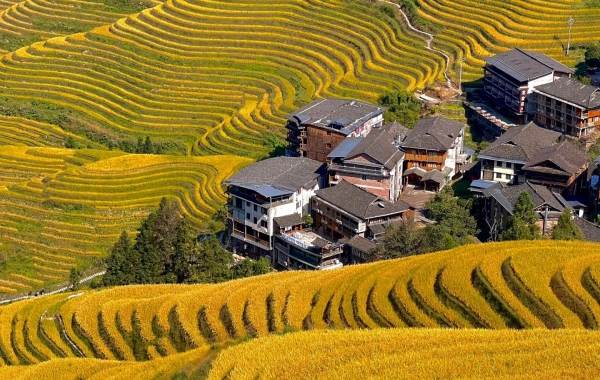 Day 4: Yangshuo -- Longsheng 