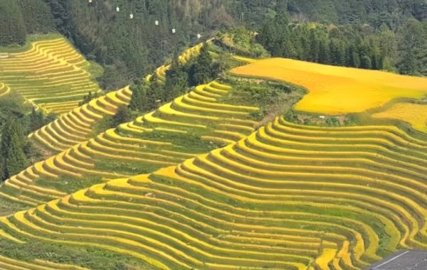 Day 4: Yangshuo -- Longsheng 