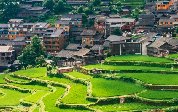 Day 6: Zhaoxing 
