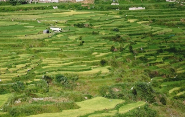 Day 8: Rongjiang -- Kaili 
