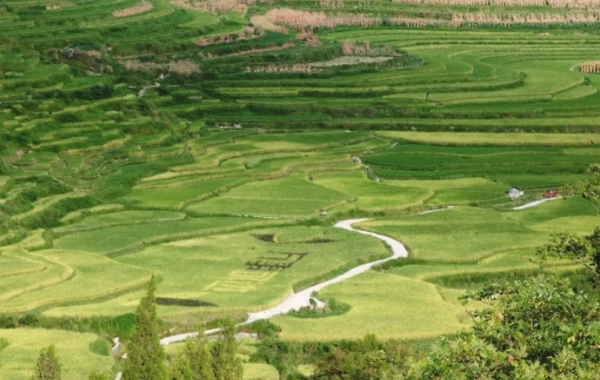Day 8: Rongjiang -- Kaili 