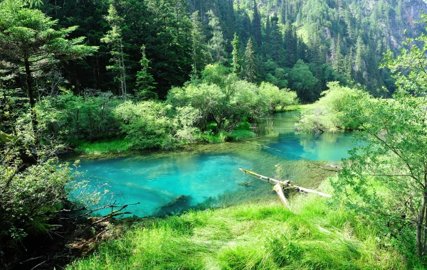 Panoramic Tour of Sichuan Refined Attractions