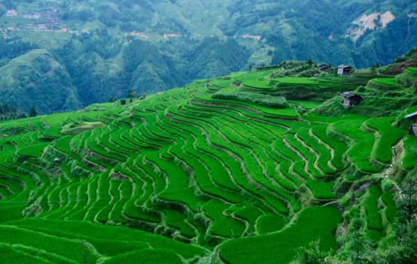 Day 3: Guizhou