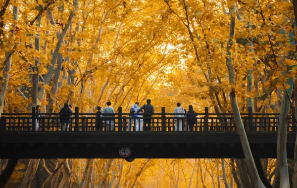 Tag 2: Nanjing