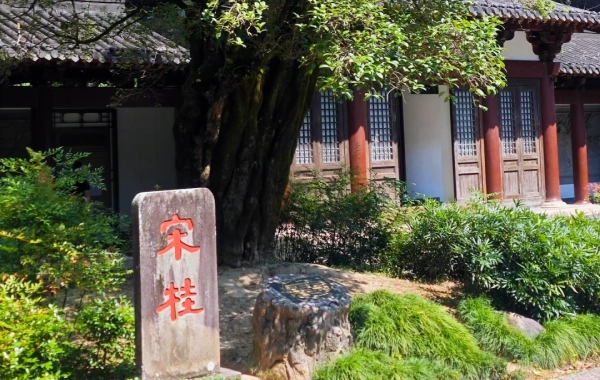 Day 5: Wuyi Mount