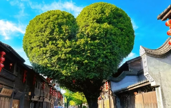Day 4: Fuzhou