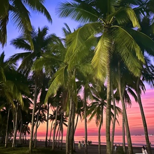 Sanya Tours