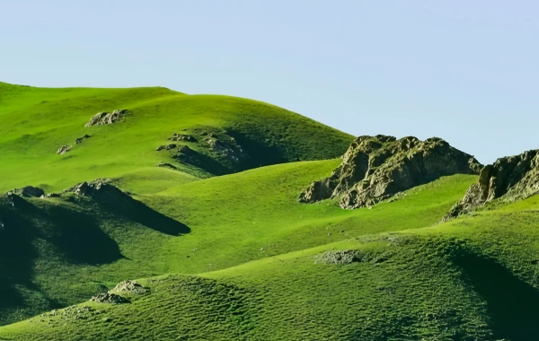 Giorno 1: Arrivo di Qinghai