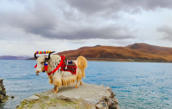 Day 13: Lhasa