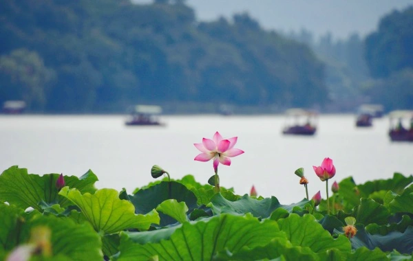 Day 1: Hangzhou Arrival