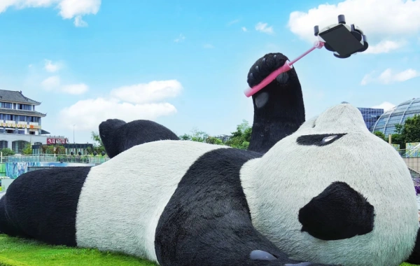 Panda Valley & Dujiangyan One-Day Tour