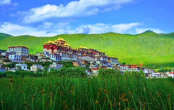 Day 6: Shangri-La