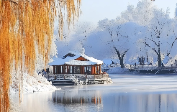 Day 8: Harbin