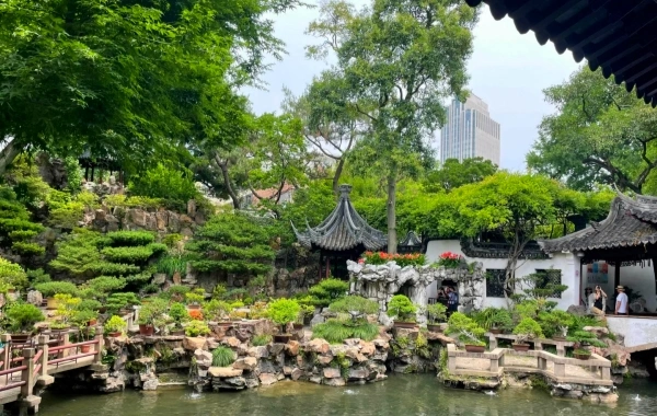 Giorno 11: Shanghai