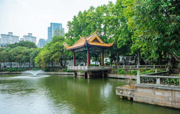 Day 6: Chengdu