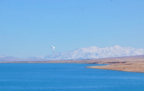 Tag 2: Qinghai
