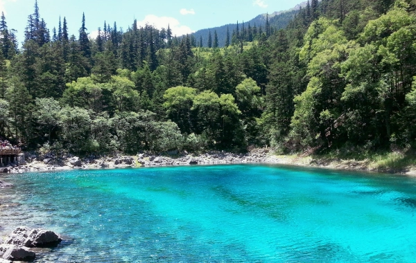 Tag 7: Sichuan