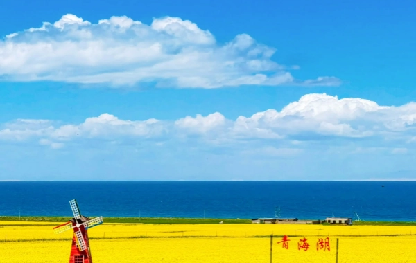 Day1 : Qinghai 도착